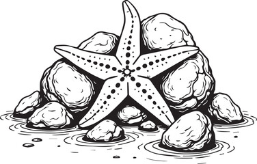 Starfish and Stones on the Shore: An elegant drawing of a starfish delicately resting atop a collection of stones near the seashore, capturing the serene tranquility of the coastal environment.