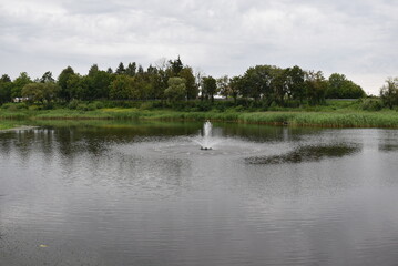 Tranquil pond with fountain and greenery under cloudy sky  