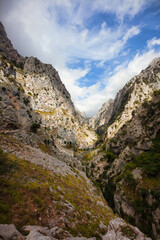 Rugged natural valley in Picos de Europa, rocky cliffs and sparse vegetation, dramatic mountainous landscape in northern Spain, scenic outdoor adventure and hiking