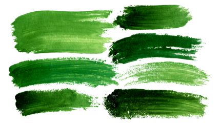 Set of green brush strokes in paint style isolated on white