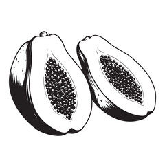 black and white silhouette vector of papaya fruit on white background