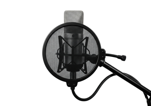 Professional Audio Studio Microphone: A sleek studio microphone with a pop filter and stand, ready to capture every note, word and sound in professional quality.