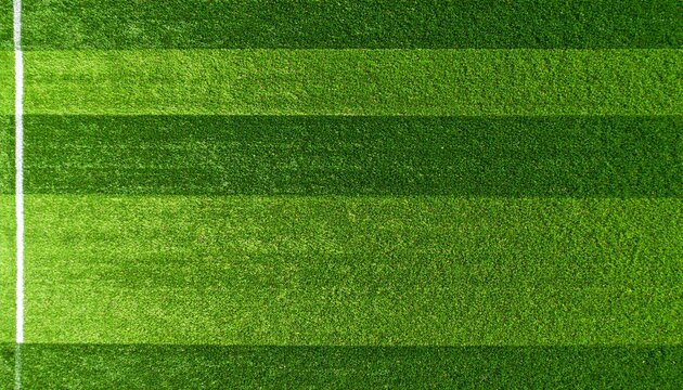 Fotograf&iacute;a a&eacute;rea de un tapiz de c&eacute;sped natural. La foto se toma desde una altura media, mostrando la textura uniforme y el color verde vibrante de la hierba.