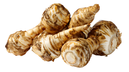 Sunchoke vegetable roots isolated on white