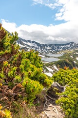 nature and Tatra mountains in Poland during the summer day