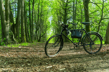 Fototapeta premium Vintage bicycle parked on a forest trail surrounded by trees. Old style bicycle resting on a sunlit woodland path symbolizing outdoor adventure and eco friendly travel.