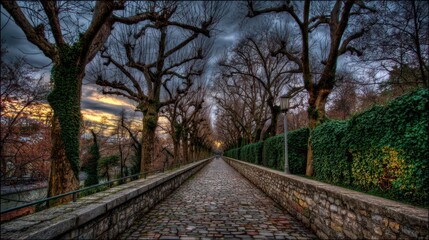 Fototapeta premium Cobblestone pathway lined with trees and hedges.
