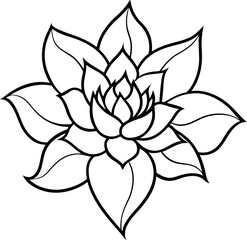 vector illustration of lotus flower