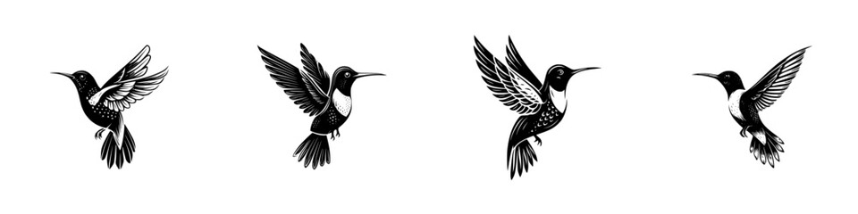 Obraz premium Black and white illustrations of hummingbirds in various flying positions showcasing elegance and grace