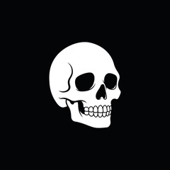 A clean and classic illustration of a human skull, set against a black background. This simple, bold design is perfect for Halloween, horror, or rock and roll themes.