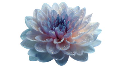 Ethereal floral bloom, isolated on transparent background