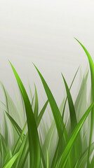 Vibrant green blades of grass showcase natural beauty. A fresh, clean visual ideal for backgrounds.