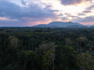Aerial view green tropical rainforest tree mountain sunset colorful sky