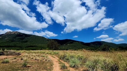 A winding dirt trail cuts through tall wild grasses, leading toward lush green hills in Madurai, Tamil Nadu, under a vibrant blue sky adorned with fluffy white clouds, creating a serene, picturesque