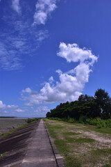 A vertical landscape shot of a long, gray concrete path or embankment running diagonally from the bottom left to the top center. To the right is a green grassy area and a line of dense trees. 