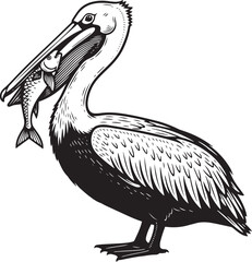 illustration of a pelican