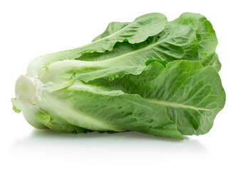Fresh green romaine lettuce isolated on white background