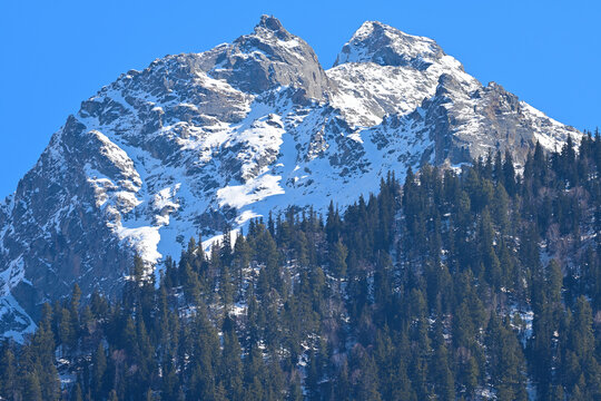 Majestic snow-capped Kinner Kailash mountain peaks rising above dense evergreen forest under bright blue winter sky, Himachal Pradesh, India. Sacred Himalayan landscape.