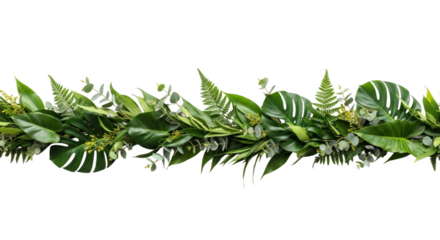 A vibrant garland of tropical leaves and greenery, arranged in a horizontal line against a white background.