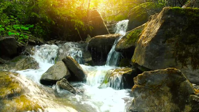 Waterfall at wild forest. Wonderful fresh water waterfalls river flowing. Forest rocks with a roaring stream running. Panoramic sun landscape of nature waterfall 4k video footage