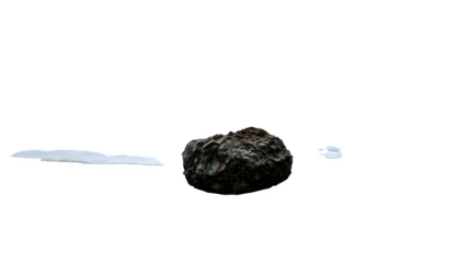 human brain isolated on white background