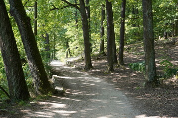 Leeres Fußweg am Schlachtensee in Berlin im Sommer