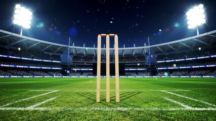 Night Cricket Stadium Wickets Confetti Celebration - Powered by Adobe