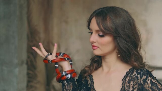 Portrait closeup female hands holding aspred red royal milk snake - sinaloa. Gothic fantasy woman dark queen of snakes and poison. girl vampire look at cute anaconda. black vintage medieval dress