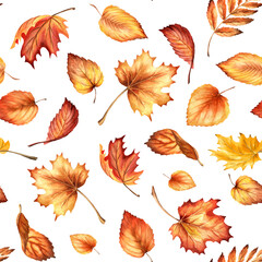 Autumn colorful leaves seamless pattern. Hand drawn watercolor illustration, isolated on white background