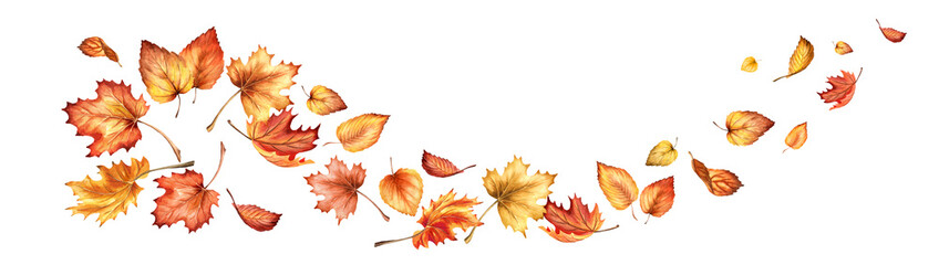 Autumn colorful leaves. Hand drawn watercolor illustration isolated on white background