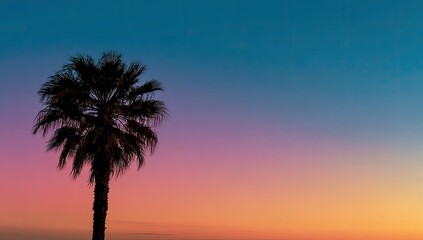 Obraz premium Silhouette palm tree at vibrant sunset