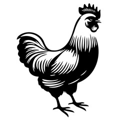 hen vector illustration