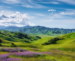 Naklejka premium Beautiful green meadow with purple flowers in spring