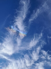 Peaceful Blue Sky with Clouds