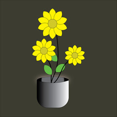 Three bright yellow flowers in a white pot on black background