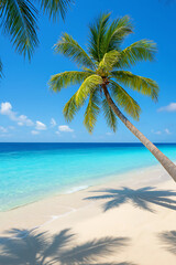 Tropical Paradise Beach with Palm Tree and Turquoise Ocean Under Clear Blue Sky