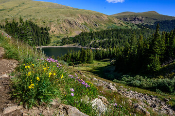 Obraz premium Picturesque alpine Naylor Lake nestled in the Colorado Rocky Mountains. Forested shores meet wildflower meadows, a reminder of the state's natural beauty in the Rockies.