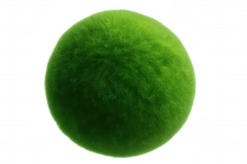 Green grass sphere rotating on transparent background, perfect for ecology and environmental concepts