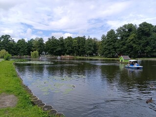 Peaceful lake with boat and lily pads surrounded by greenery  