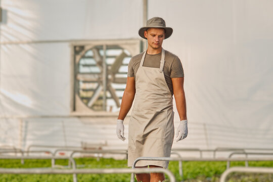 Farmer in Apron and Gloves Working Inside a Modern Greenhouse Facility