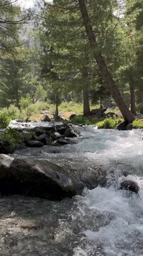 river in the forest mountain lake in yosemite national park Saifullah lake mahodand lake nature swat kalam usho forest  road  mountain landescape pakiistan northen aera 