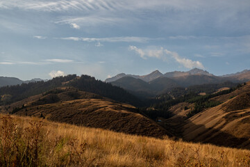 Panoramic view of Kazakhstan's diverse nature - mountains, forests and flowering meadows