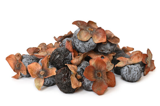 Dried diospyros lotus or wild persimmon