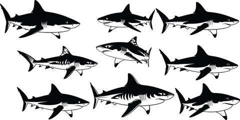 Black and white shark illustrations, stylized shark drawings, cartoon shark anatomy, marine predator sketches, ocean wildlife art, shark fins, gills