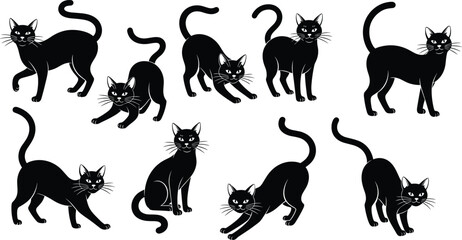 Black cat silhouettes, feline pose illustration, walking cat vector, stretching pet graphic, sitting cat clipart, white accent whiskers, animal stance art