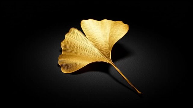 A golden Ginkgo leaf with intricate veins rests on a textured black surface creating stark contrast
