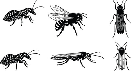 Insect illustration set, termite bee cricket wasp, black vector design, entomology clipart, segmented body graphics, antennae wings artwork, bug icons
