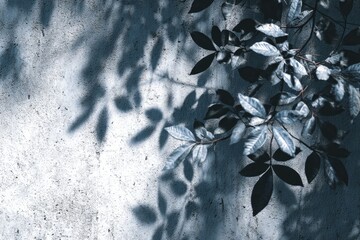 Gray wall with leaf shadows