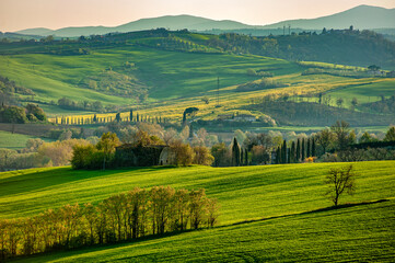 Obraz premium Autumn countryside in Massa Martana, Umbria, Italy, with rolling green fields, distant hills, cypress rows, and golden sunlight over rural landscapes.