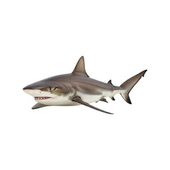 Obraz premium Ultra Realistic Shark PNG – High Resolution Ocean Predator with Sharp Focus, Smooth Skin Texture, and Soft Natural Shadows Isolated on White Background